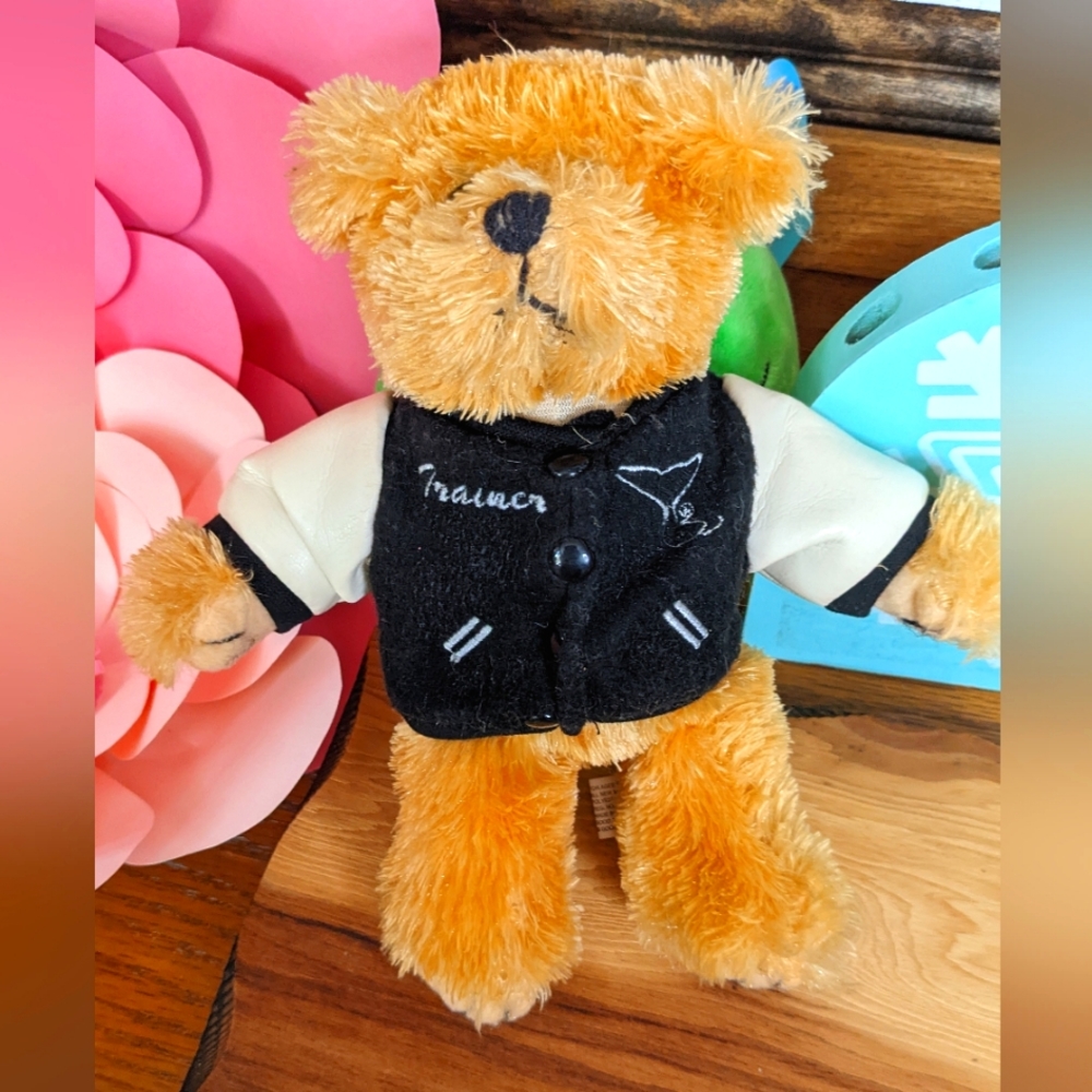Small Teddy Bear 5 for $25